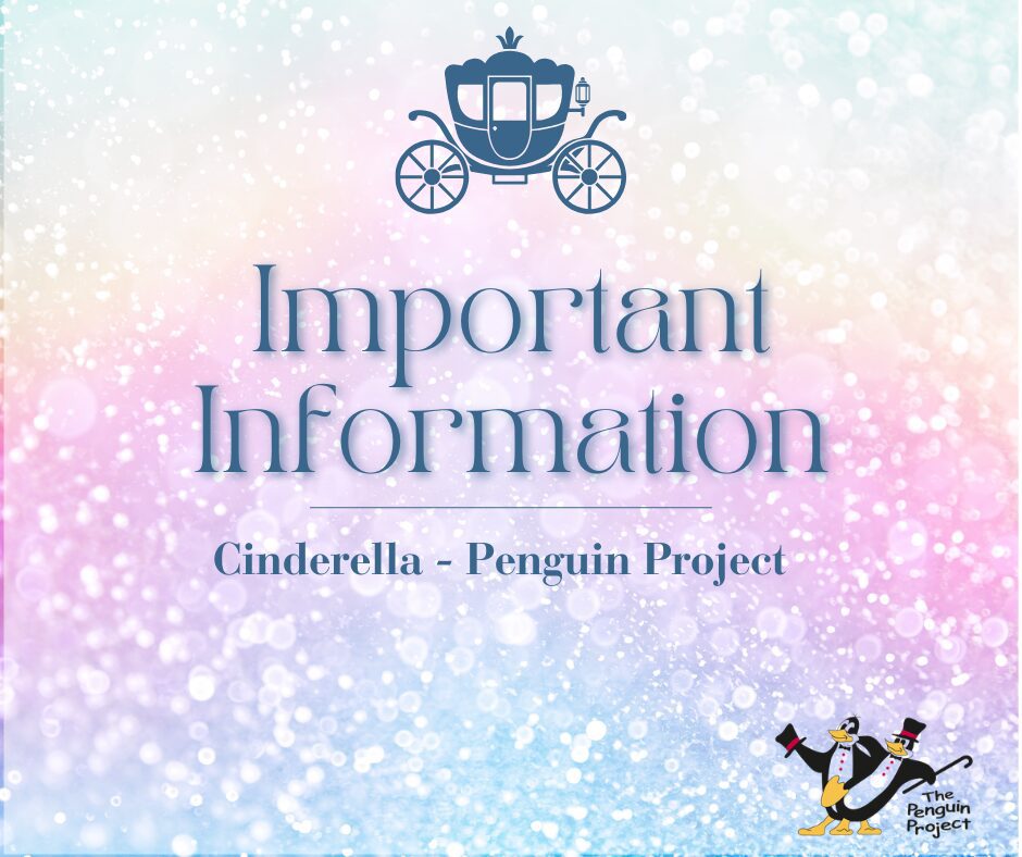penguin project cinderella meeting (1)